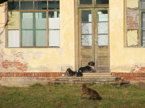 Foto Sectie Neurologie - Spitalul Municipal Sighetu Marmatiei (c) eMaramures.ro